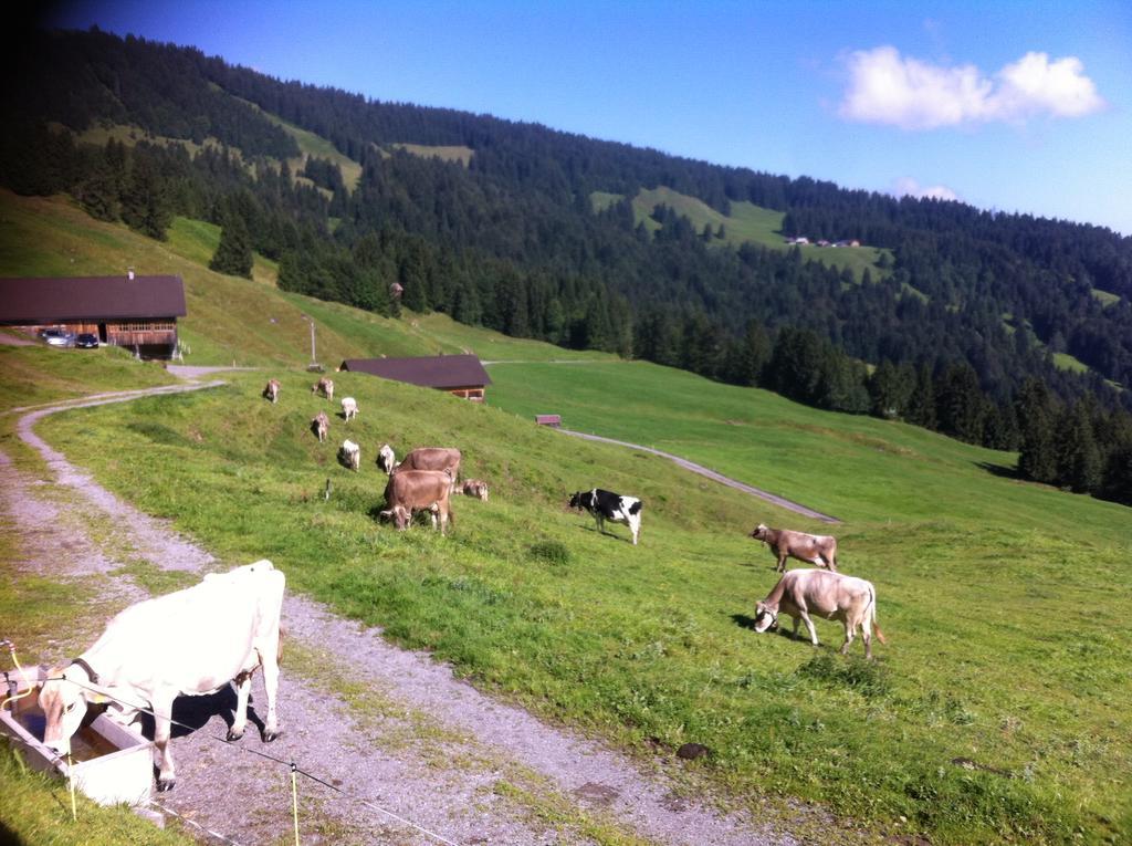 Unser Vorsaess - Klausberg Schwarzenberg im Bregenzerwald Esterno foto